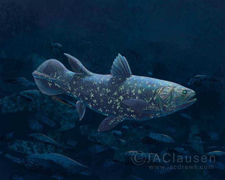 digital illustration of a Coelacanth, Latimeria chalumnae