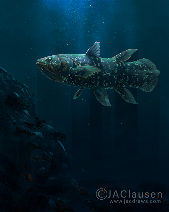 illustration of a Coelacanth swimming near a rocky outcrop in the deep sea